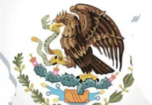 Mercadolibre | 入驻拉美电商市场的“备战”大招,赶紧接住!