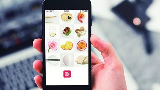 cdiscount运营是做什么的